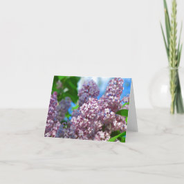 Cartão Placa Lilac 1