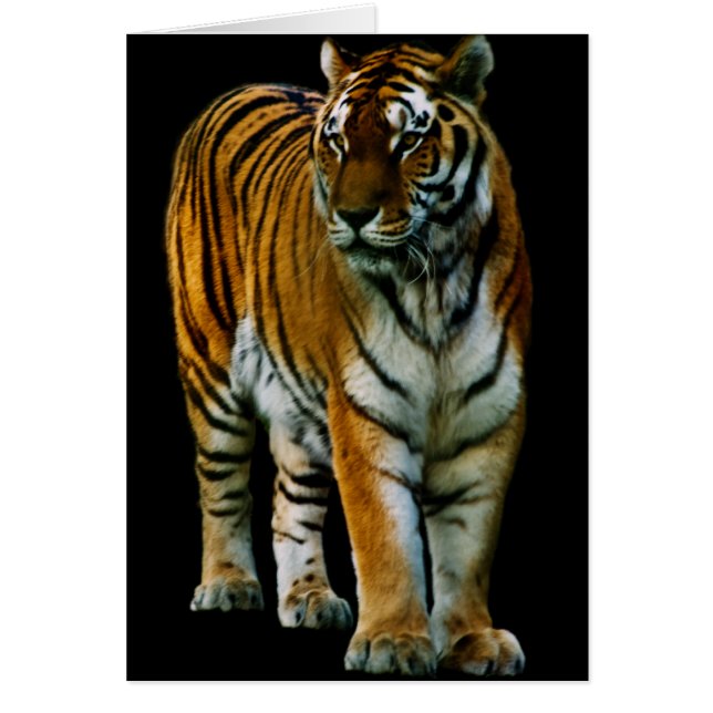 Cartão Placa Lin Hu (Frente)