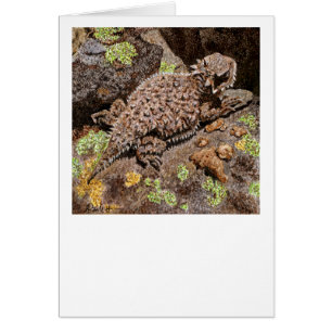 Cartão Placa Lizard Corada