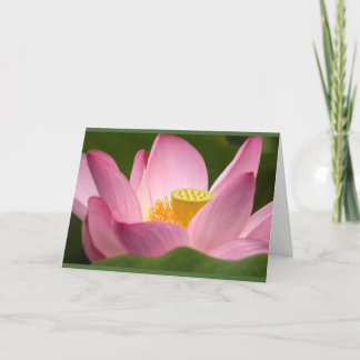 Cartão Placa Lotus