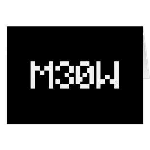 Cartão Placa M30W [Leettalk Animal Sounds]