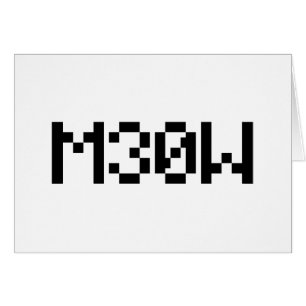 Cartão Placa M30W [Leettalk Animal Sounds]