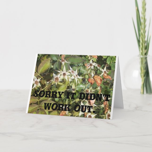 Cartão Placa Média De Separação Awkward (Frente)