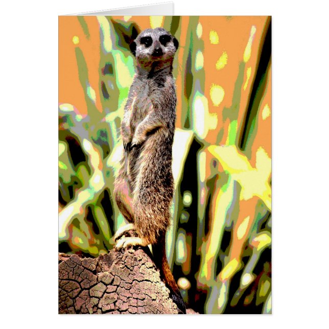 Cartão Placa Meerkat (Frente)
