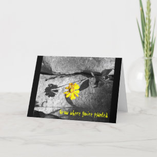 Cartão Placa motivacional "Cresça onde você está plantado