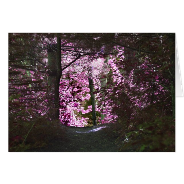 Cartão Placa Natureza Light On Path (Frente horizontal)