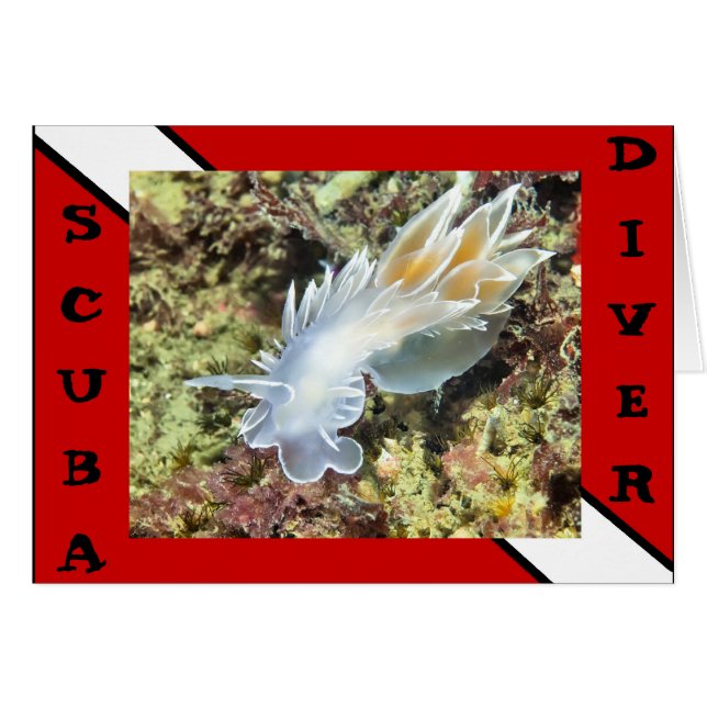 Cartão Placa Nudibranch do Scuba Divier (Frente Horizontal)