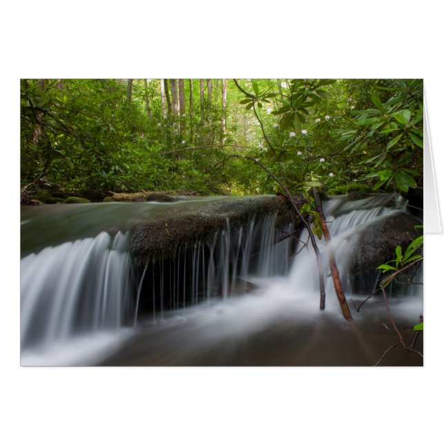 Cartão Placa oculta (Frente horizontal)