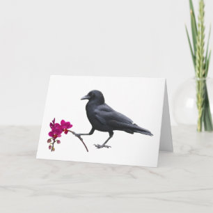 Cartão Placa Orquídea Crow