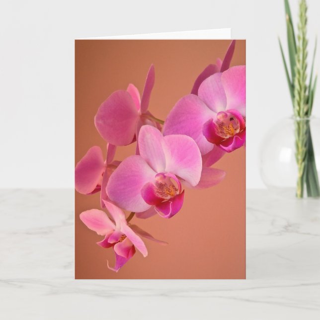 Cartão Placa Orquídea Rosa (Frente)