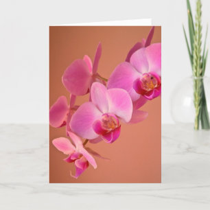 Cartão Placa Orquídea Rosa