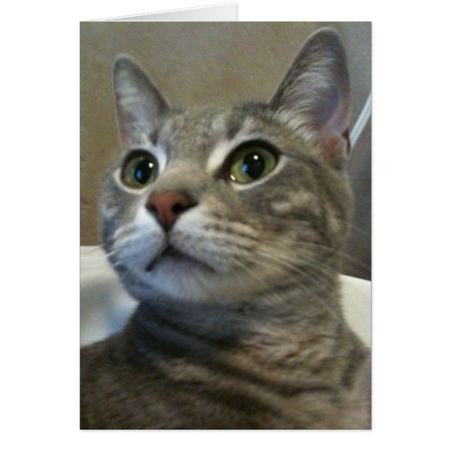 Cartão Placa Ozzy 1 (Frente)