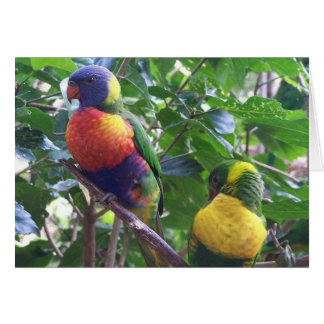 Cartão Placa Parrots