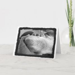 Cartão Placa Pata em Mão