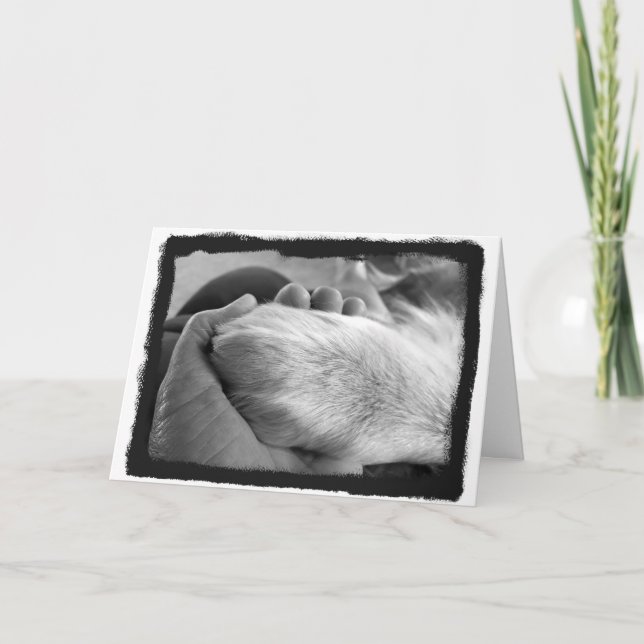 Cartão Placa Pata em Mão (Frente)