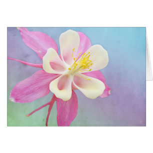 Cartão Placa Personalizada Columbina Flor Rosa e Branco