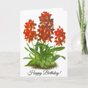 Cartão Placa Personalizada Orange Red Orchid Flower_GC