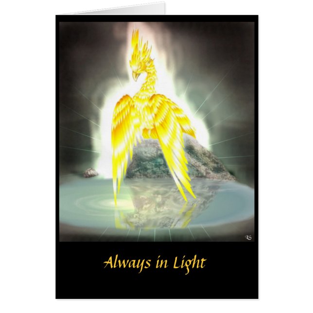 Cartão Placa Phoenix (Frente)