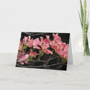 Cartão Placa, "PINK DOGWOOD # 2"