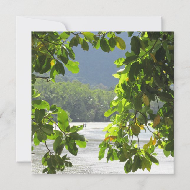 Cartão Placa plana Cape Tribulation (Frente)