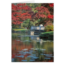 Cartão Placa ponte de pedra