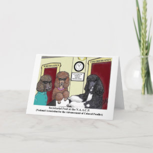 Cartão Placa Poodle NAACP