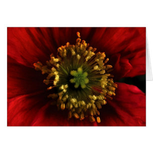 Cartão Placa Poppy