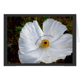 Cartão Placa Poppy de Dia de as mães Feliz