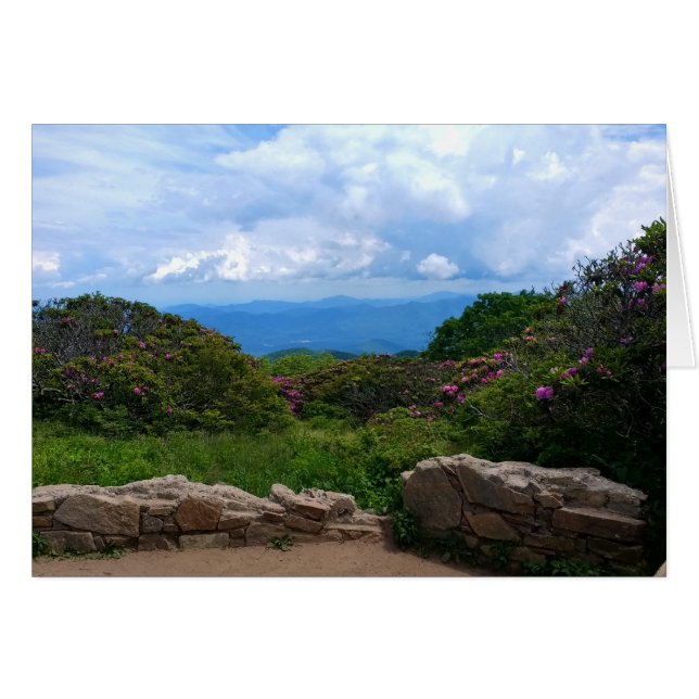 Cartão Placa Primavera de Cordilho Azul (Frente Horizontal)