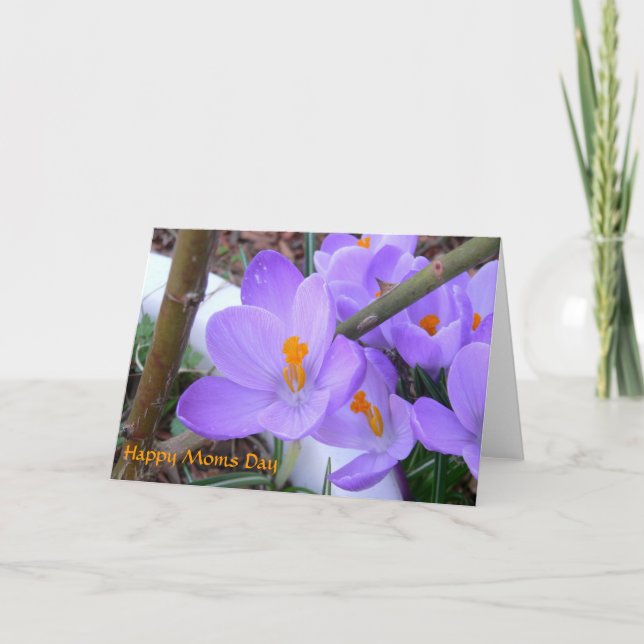 Cartão Placa Primavera dia de as mães do  (Frente)