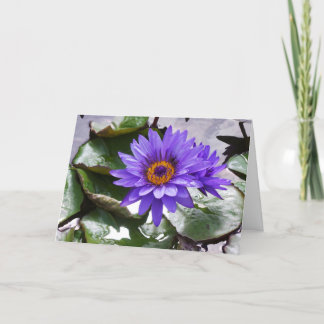 Cartão Placa-quadro de aniversário da Flor Roxa 7x5