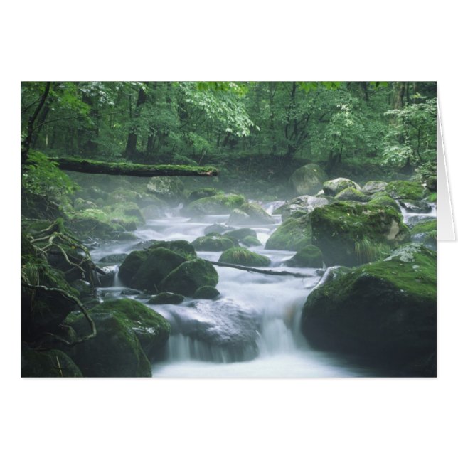 CARTÃO PLACA - RIO (Frente Horizontal)