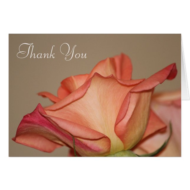 Cartão Placa Rosa de Na moda de pêssego (Frente Horizontal)