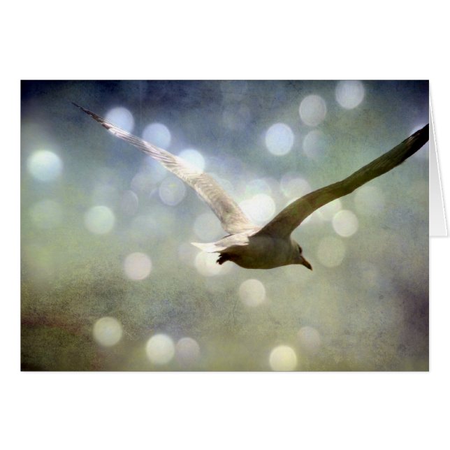 Cartão Placa Sagull Soaring All Occastion (Frente Horizontal)