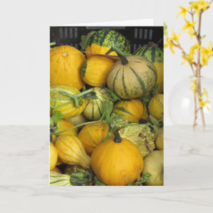 Cartão Placa - Saudação - Obrigados Dando Gourds