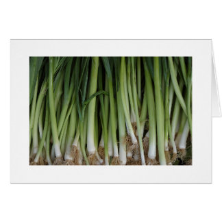 Cartão Placa Scallions