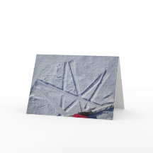 Placa secundária Ski Star