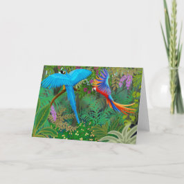Cartão Placa Selva Macaw