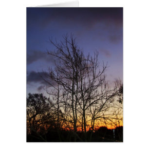 Cartão Placa Skyscapes #001