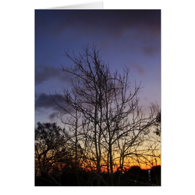 Cartão Placa Skyscapes #001 (Frente)