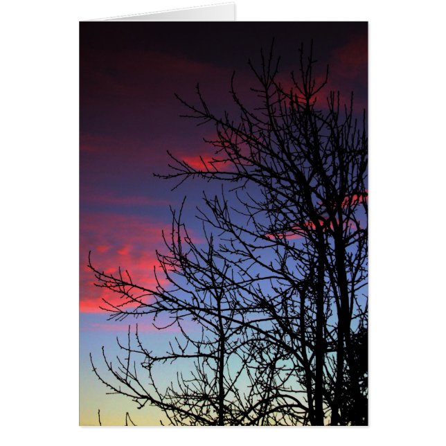 Cartão Placa Skyscapes #002 (Frente)