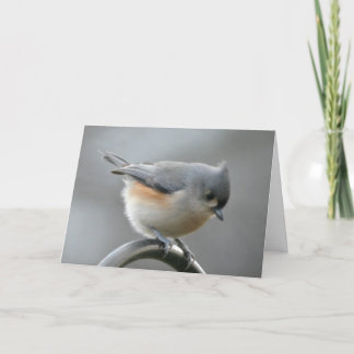 Cartão Placa Solstício