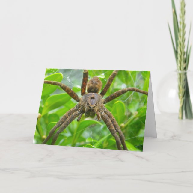 Cartão Placa Spider (Frente)