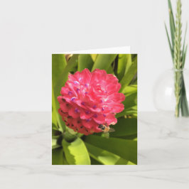 Cartão placa springtime #3 (dentro de vazio de )