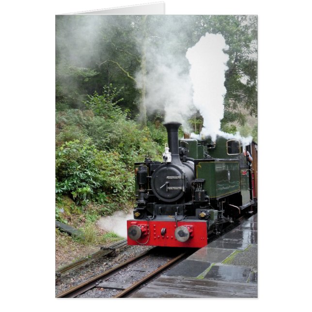 Cartão Placa STEAM TRAINS (Frente)