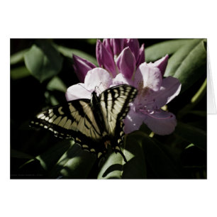 Cartão Placa Swallowtail e Rhododendron