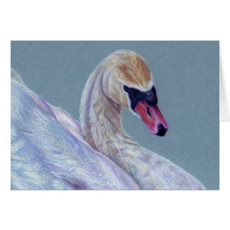 Cartão Placa Swan