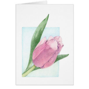 Cartão Placa Tulip Rosa