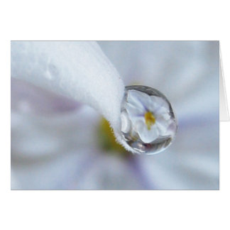 Cartão Placa Twinkle