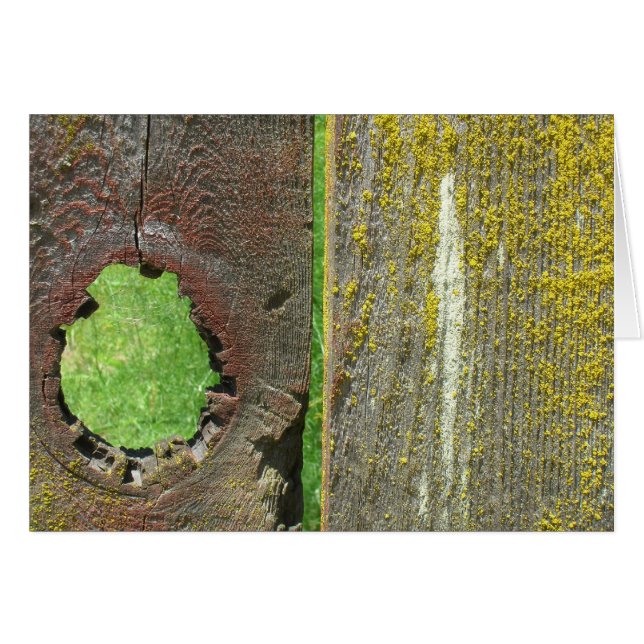 Cartão Placa - vazio - Botão na cerca (Frente Horizontal)